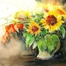 020-16_Sonnenblumen